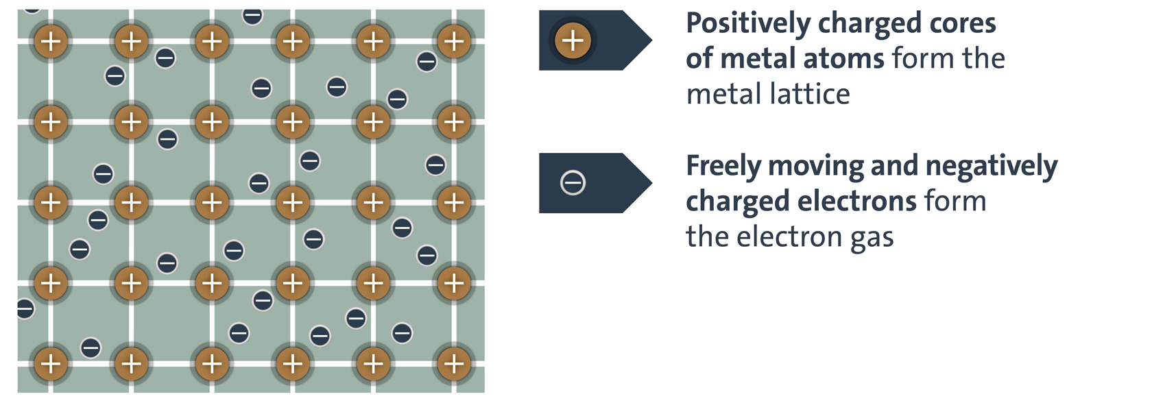 Positively charged cores of metal atoms form the metal lattice and Freely moving and negatively charged electrons form the electron gas