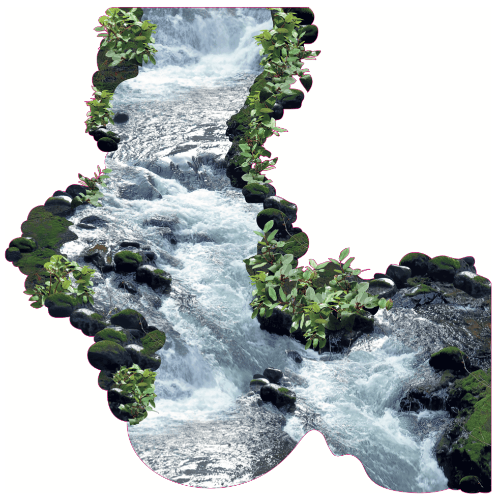 Ausgeschnitten: Fluss mit Steinen und Pflanzen