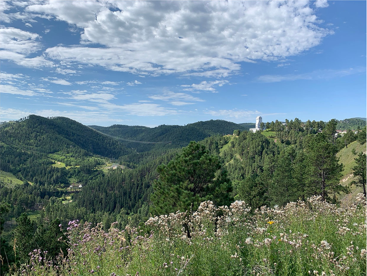 Mountainous landscape of flowers and woodland with SURF building in the distance