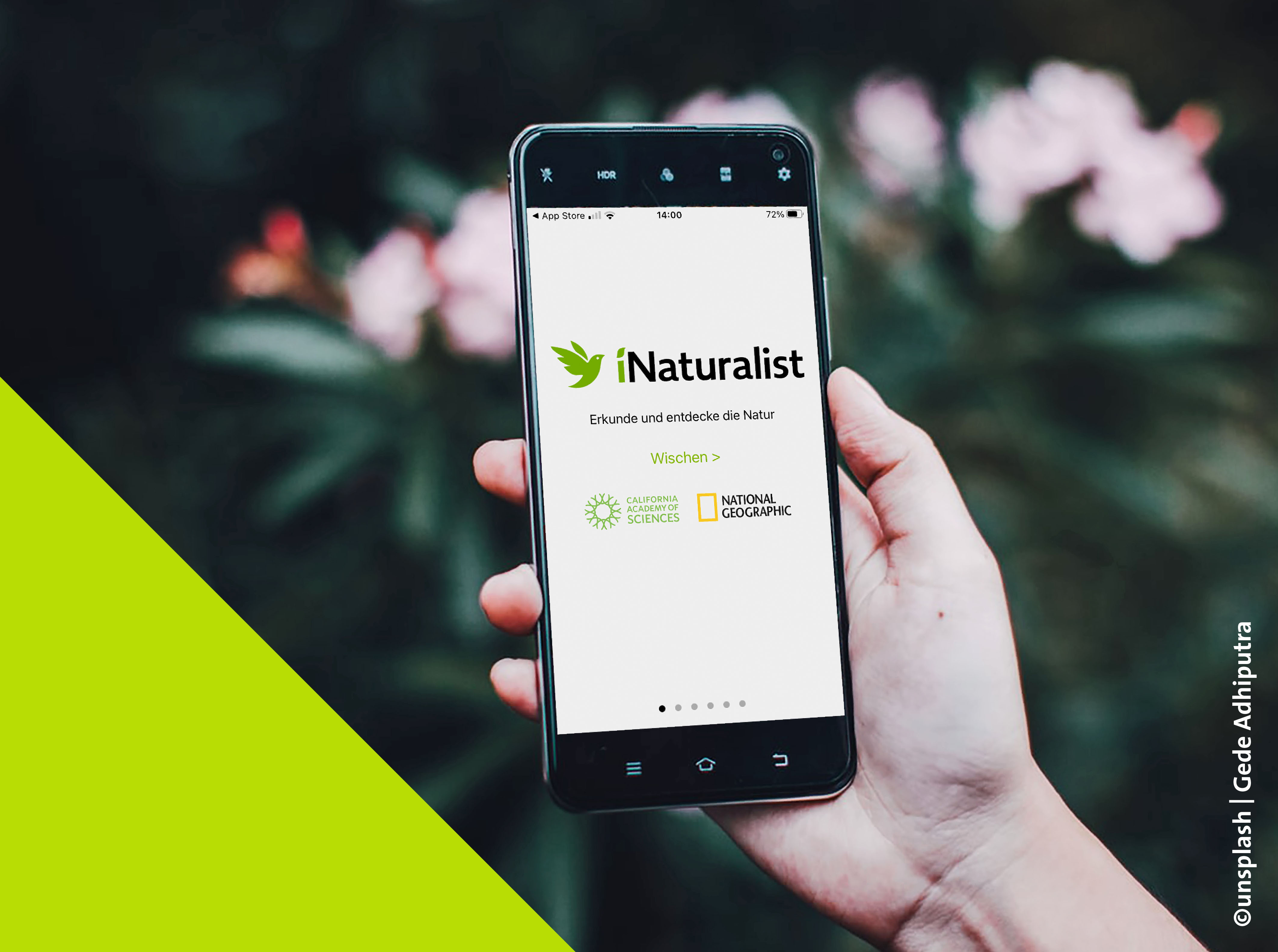 mit iNaturalist App