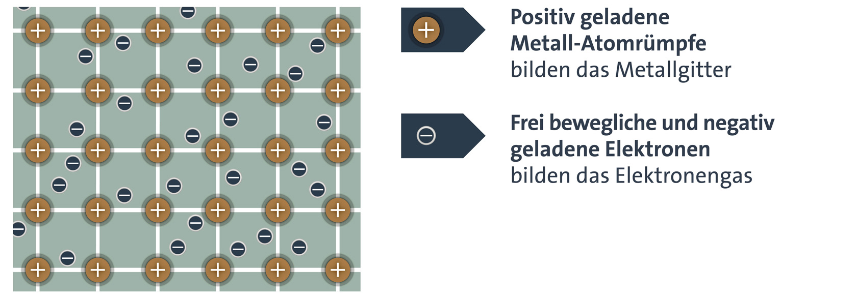 Positiv geladene Metall-Atomrümpfe bilden das Metallgitter und frei bewegliche und negativ geladene Elektronen bilden das Elektronengas