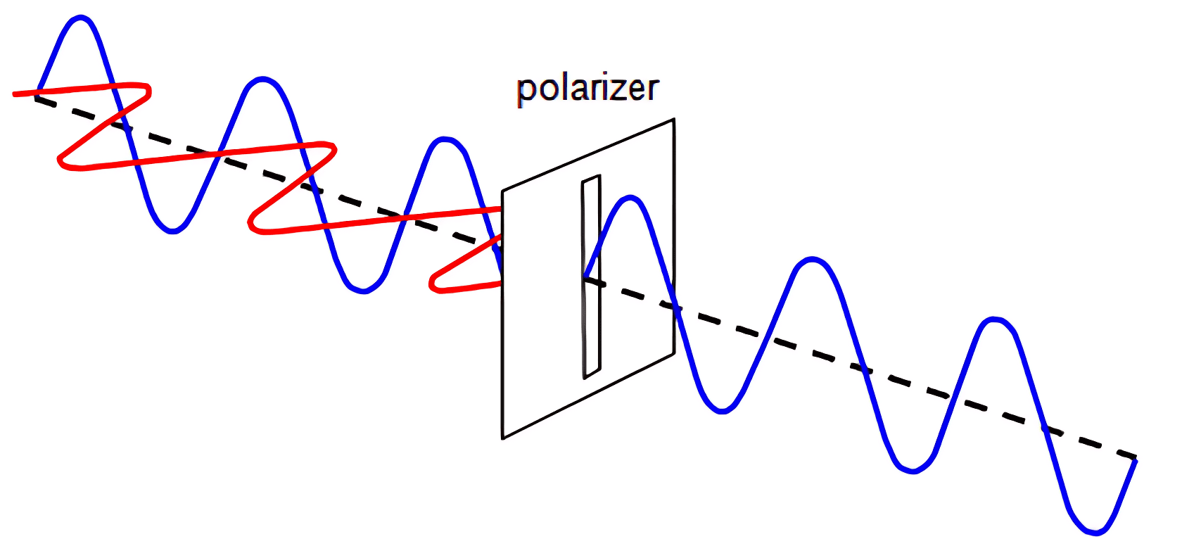 Diagram showing an unpolarized light wave passing through a polarizer, which filters out one component and allows only the vertically polarized wave to pass through.